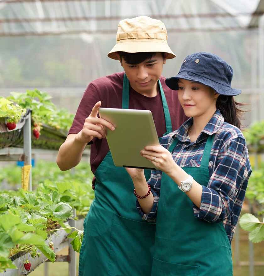 Service Card BG Image