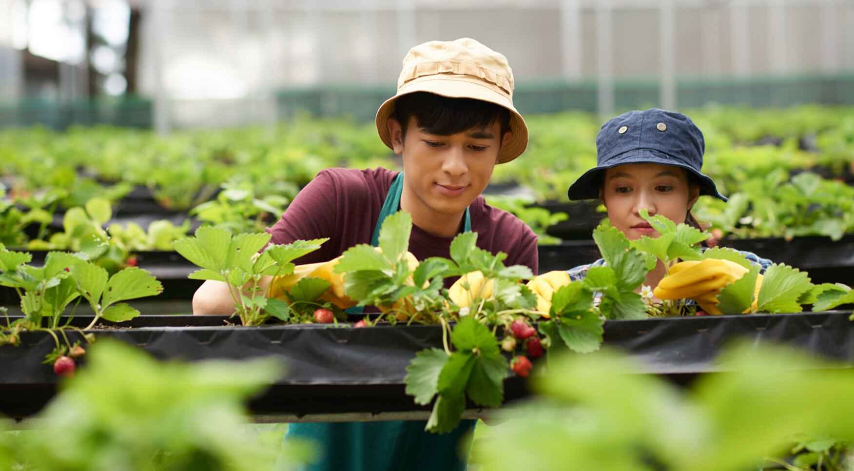 Service Secondary Image